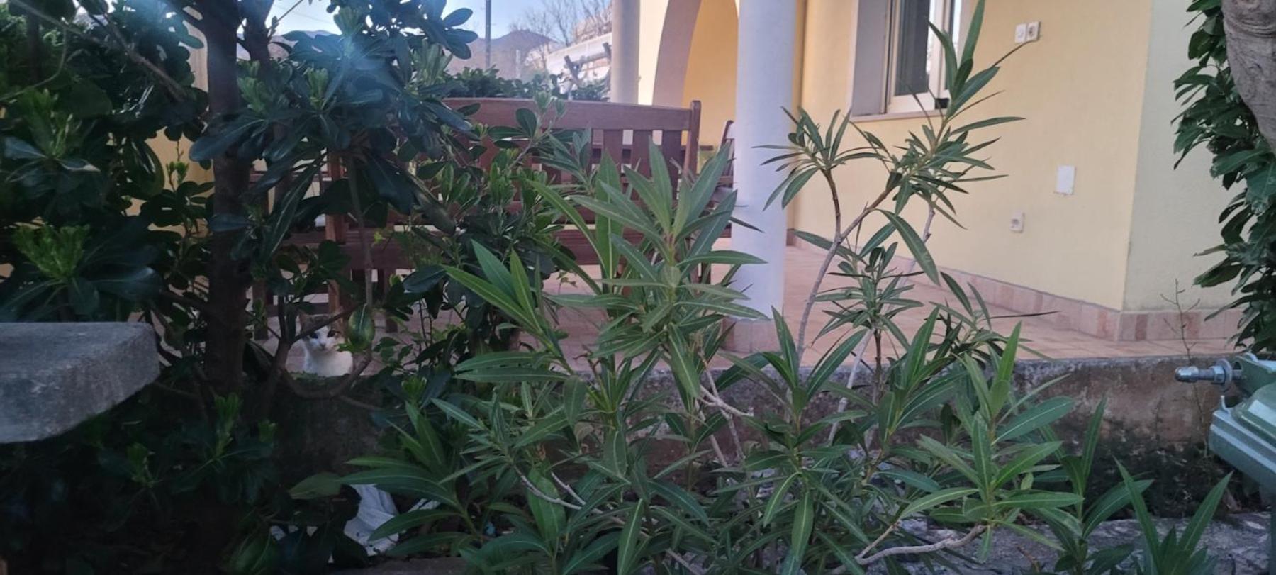Apartmani Sanja クレノヴィツァ エクステリア 写真
