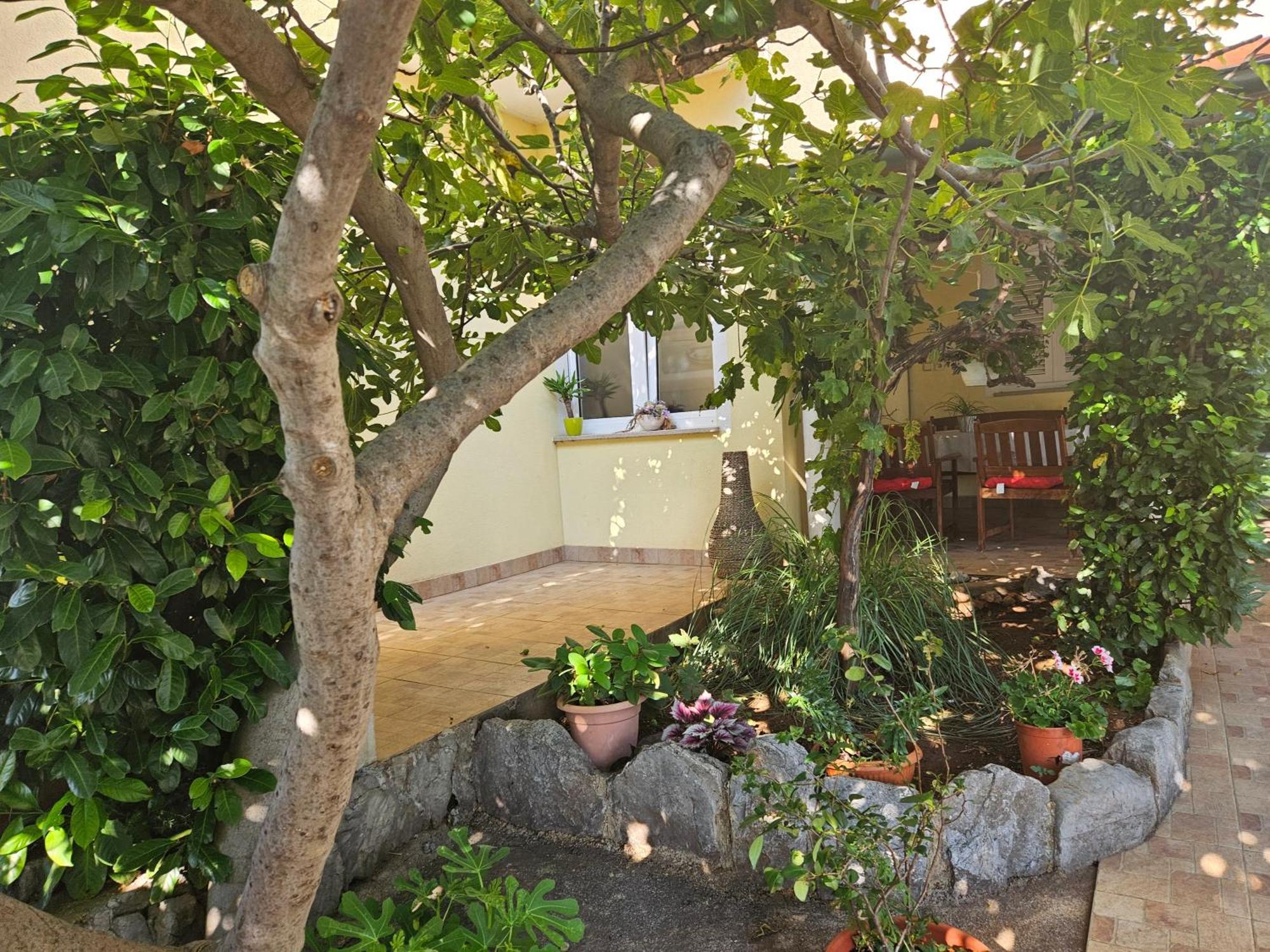 Apartmani Sanja クレノヴィツァ エクステリア 写真